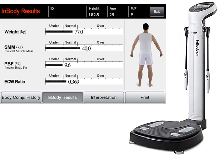 Body composition analysis device